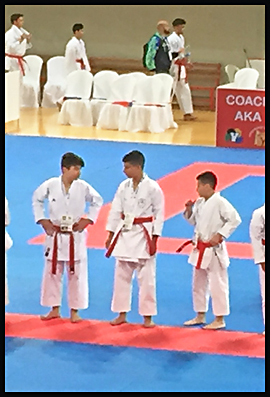 Athletes Activities 5